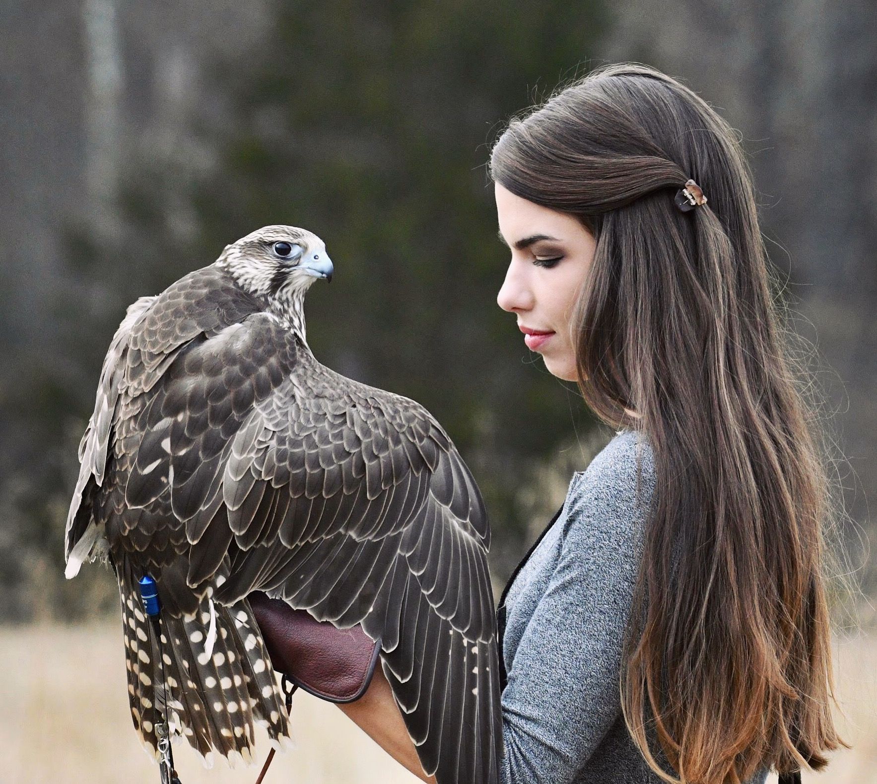 Paige Davis Curator of Bird Training