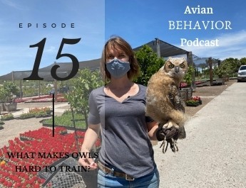 podcast episode 15