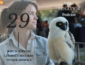 Avian Behavior podcast owl