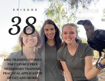 Hillary Hankey, Paige Davis, Katie Pnewski avian behavior lab training