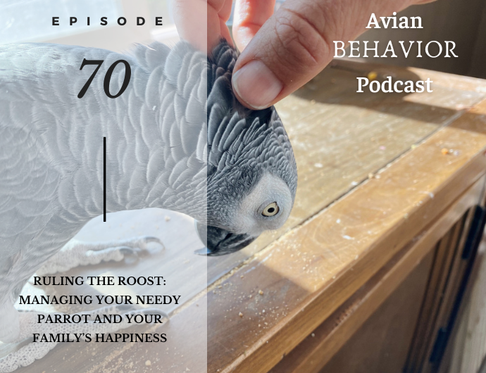 Avian Behavior podcast episode 70