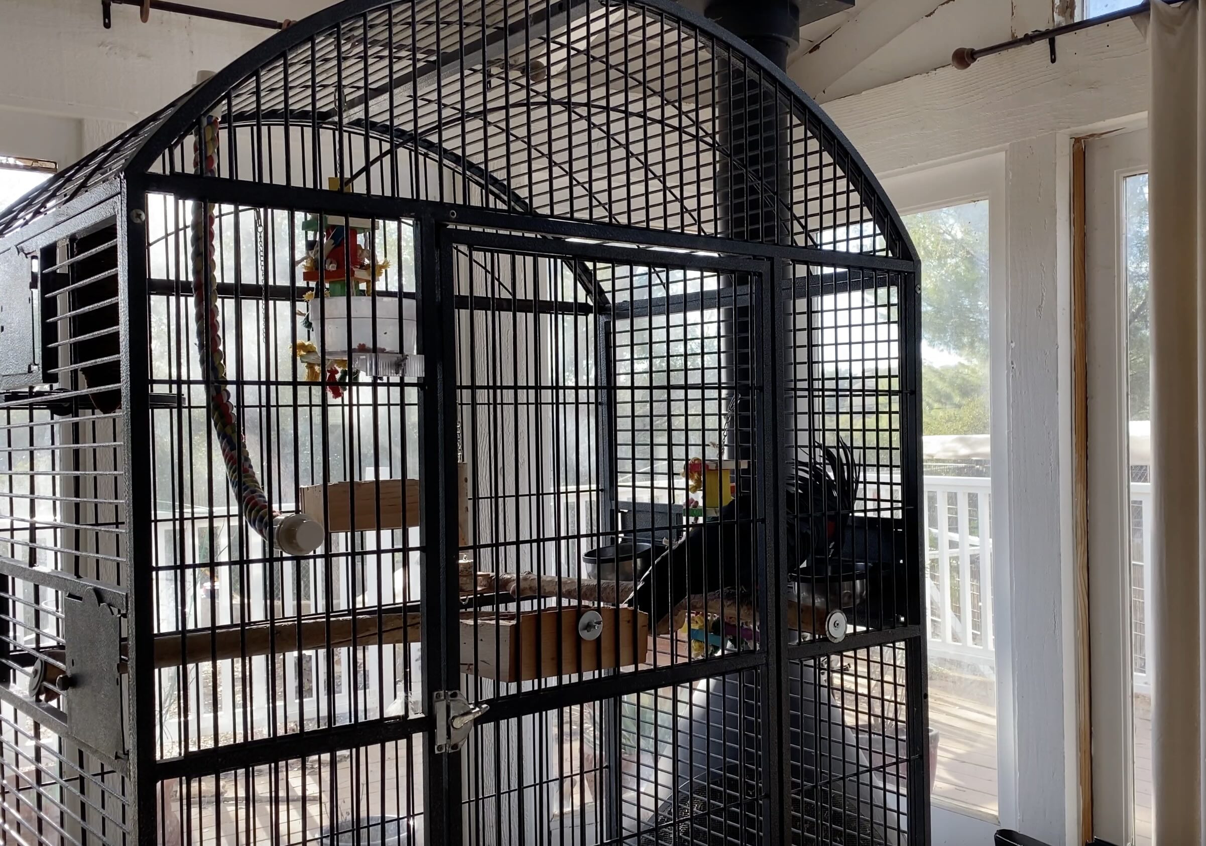 Parrot cage