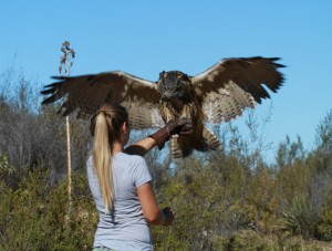 Mother's Day Special: Owl Prowl & Macaw Free Flight