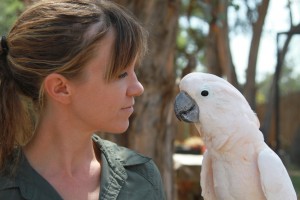 Parrot Behavior Clinic: “Be Your Best With Birds”