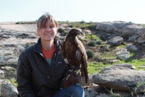 Plucker: The Story of a Lost and Found Red Tailed Hawk