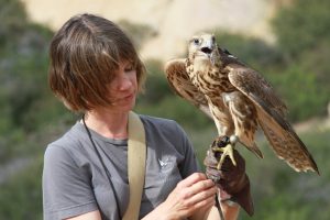 Hillary Hankey and Saker falcon