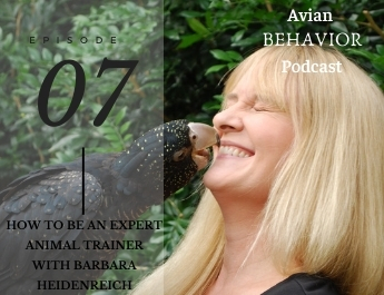 The Avian Behavior Podcast episode 07