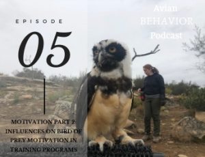 05 Motivation Part 2: Influences on Bird of Prey Motivation in Training Programs