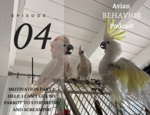 04 Motivation Part 1: Help, I can't get my parrot to stop biting and screaming
