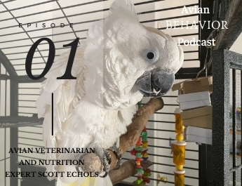 The Avian Behavior Podcast 1