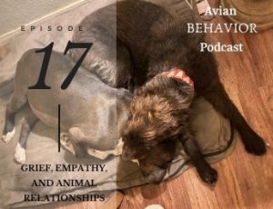 17 Grief, Empathy, and Animal Relationships