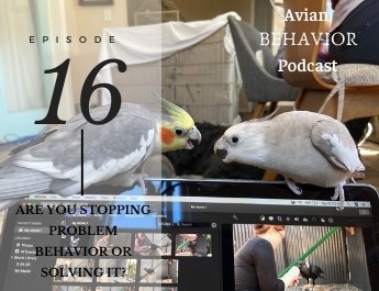 podcast episode 16 stopping a behavior or solving it