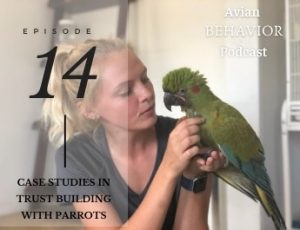 14 Case Studies in Trust Building with Parrots