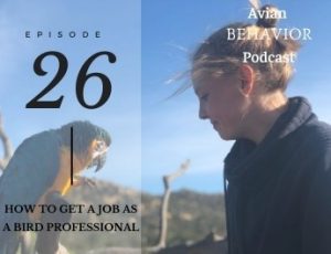 26 How to Get a Job as a Bird Professional