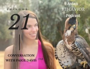 21 Conversation With Paige Davis
