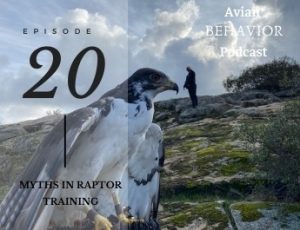 20 Myths in Raptor Training