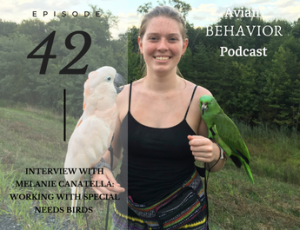 42 Interview with Melanie Canatella: Working with Special Needs Parrots