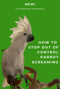 The Screaming Parrot Masterclass