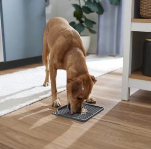 lick mat for dogs and cats