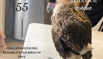 avian behavior lab podcast