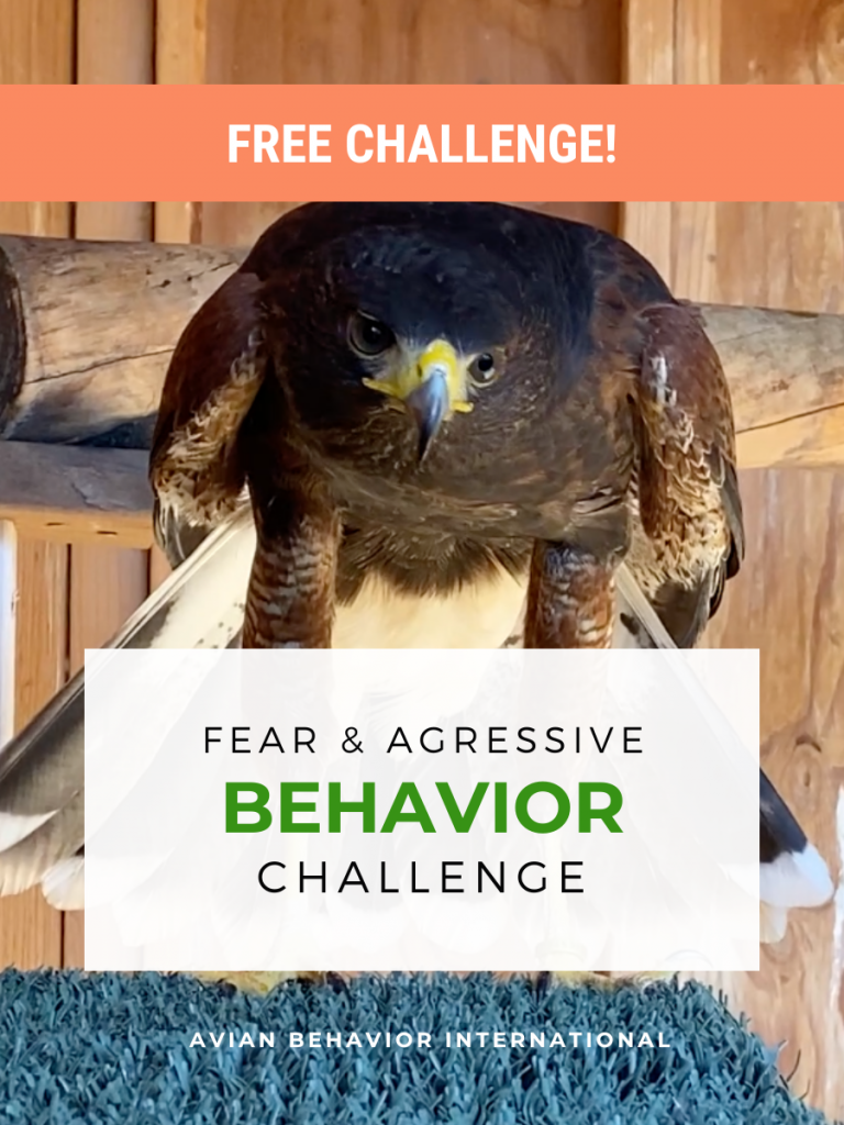 fear aggressive behavior challenge
