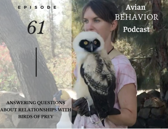 avian behavior podcast episode 61