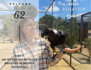avian behavior podcast