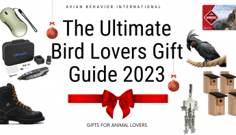 ultimate gift lovers guide for 2023 bird lovers