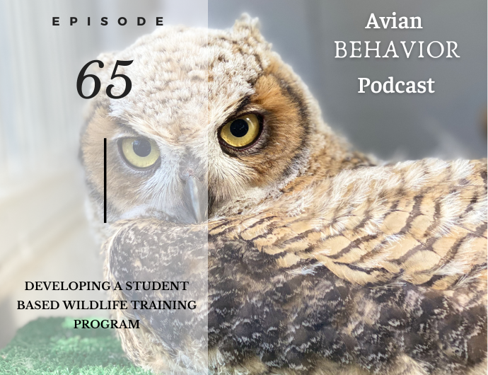 avian behavior podcast Paige Sutherland