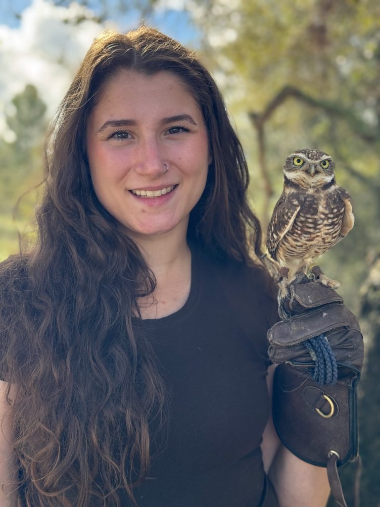 aley moore tina burrowing owl