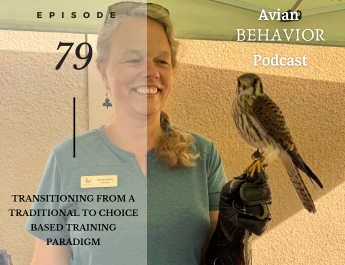 Avian Behavior Podcast
