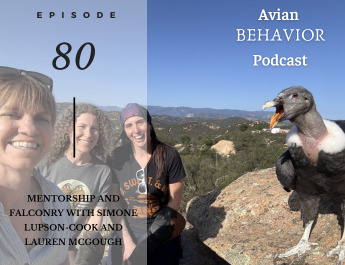 AVian Behaivor Podcast